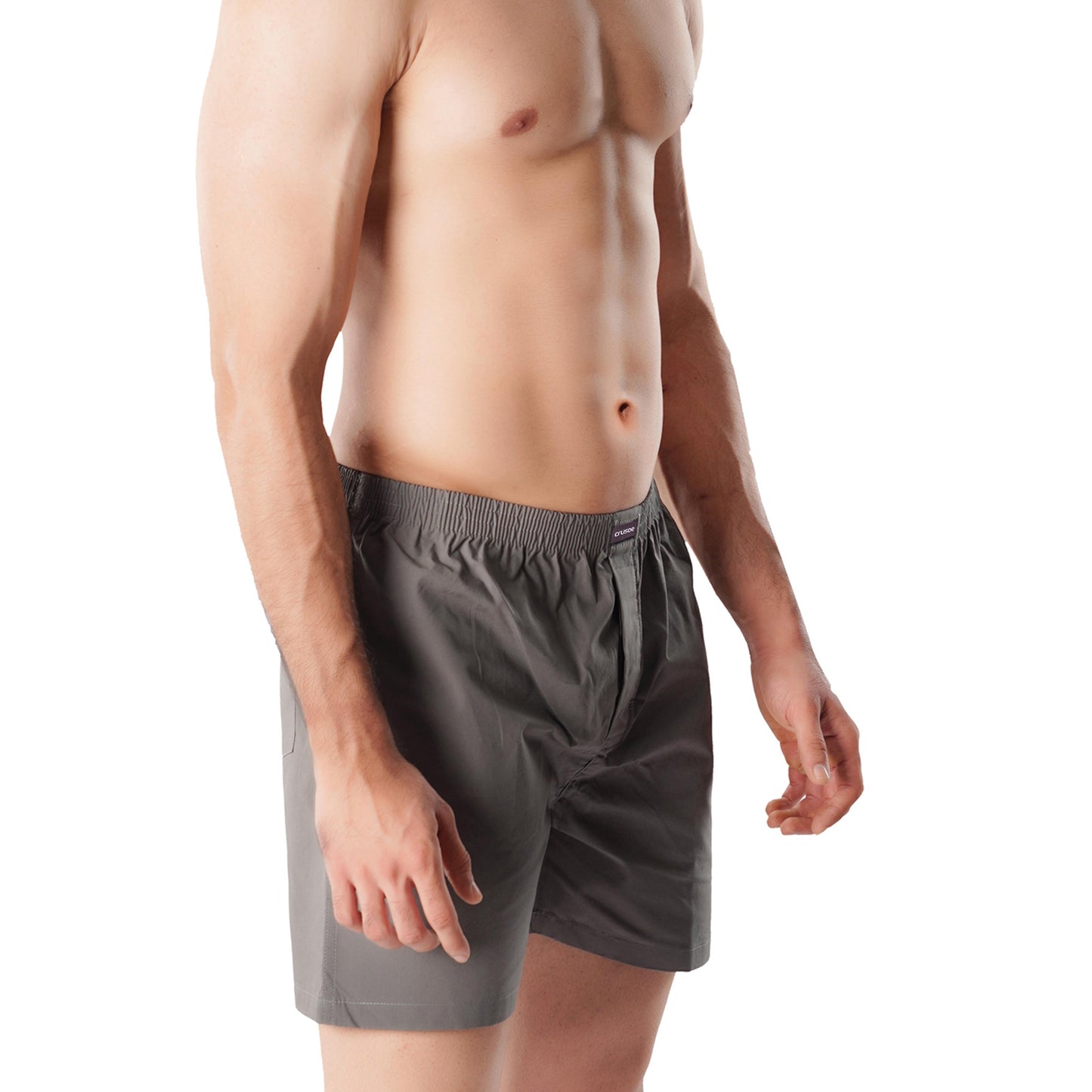 Basic Boxer