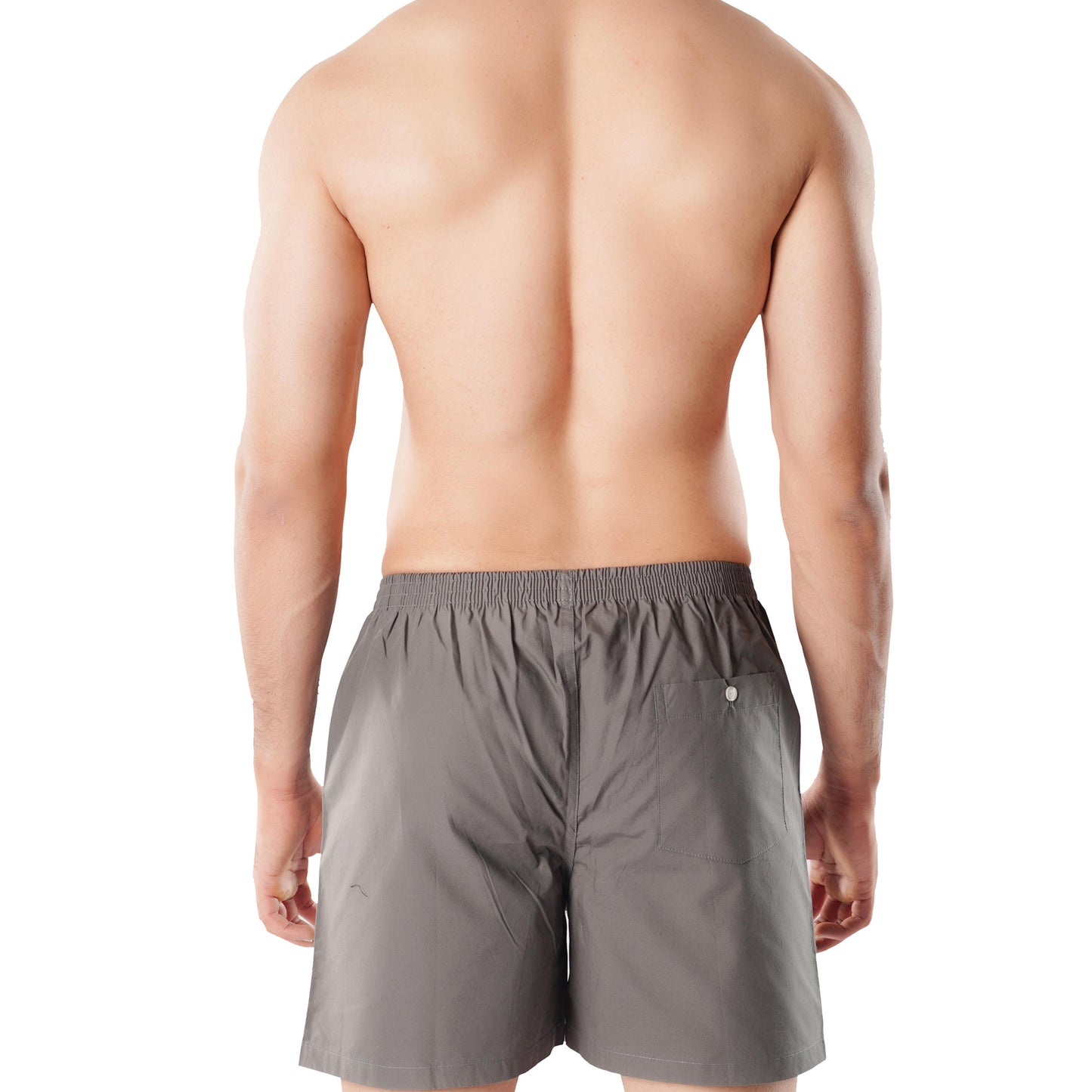 Basic Boxer