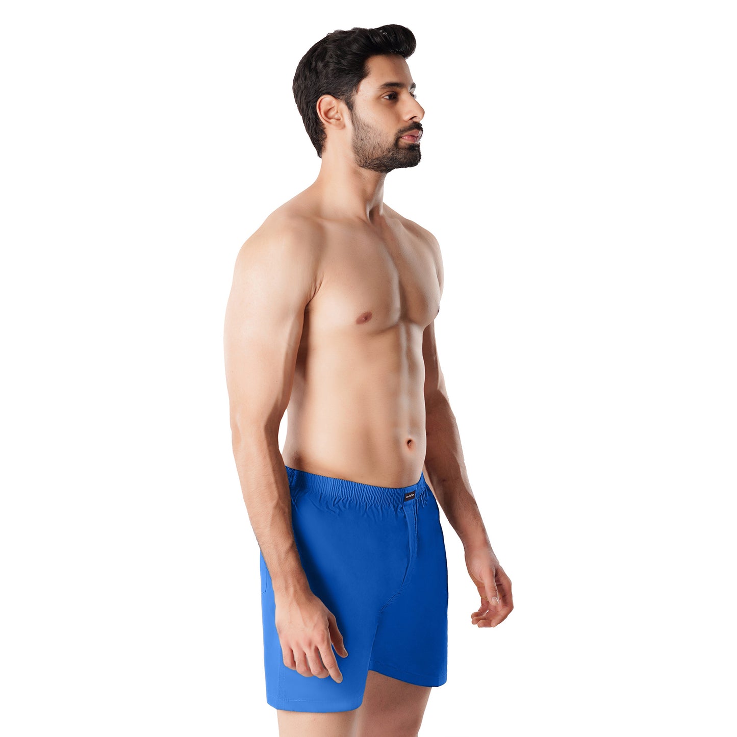 Basic Boxer