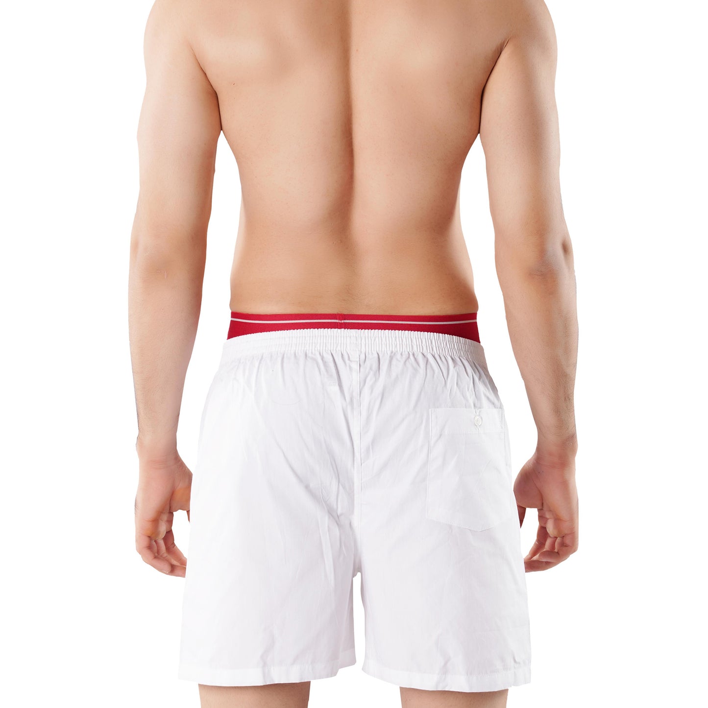 Basic Boxer