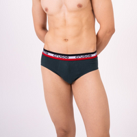 Gest Brief